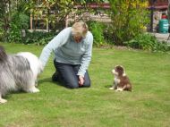 More introductions May 2010